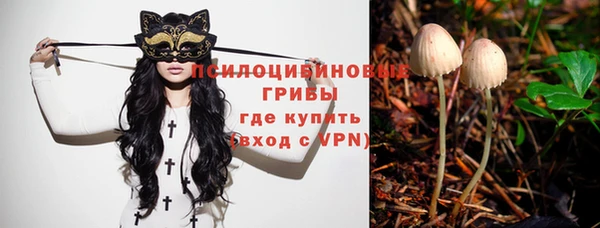 марки lsd Ельня
