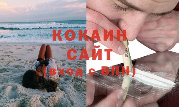 стаф Зеленокумск