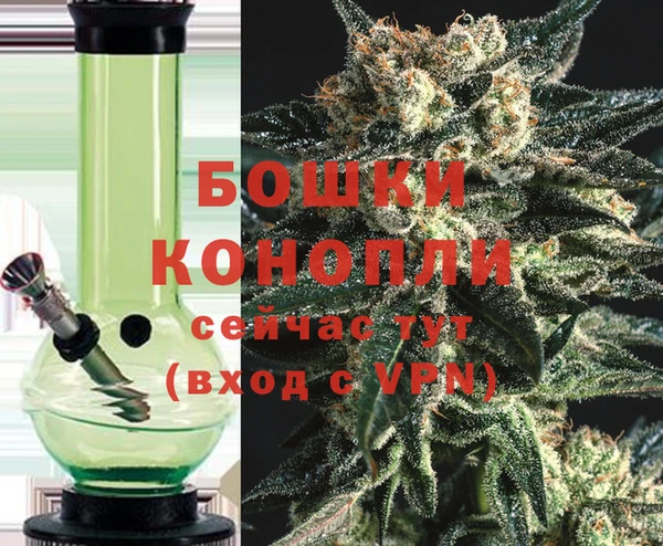 прущие грибы Заволжье